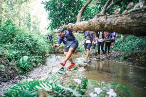 BIB: 
                            <button type="button" onclick="openModal(25478515)" class="btn btn-primary btn-sm float-right btn-popup" data-toggle="modal" data-target=".modal-high-quality">
                        <i class="fas fa-shopping-cart"></i> Add to Cart
                    </button>
                                            <button type="button" onclick="isThisMe(25478515, true)" class="btn btn-success btn-sm float-right btn-popup btn-isme hidden" data-toggle="tooltip" data-placement="bottom" title="นี่คือรูปของคุณใช่ไหม คลิกที่นี่เพื่อเอาเข้าอัลบั้ม">
                        <i class="fas fa-plus"></i> Add to album
                    </button>
                    <button type="button" onclick="isThisMe(25478515, false)" class="btn btn-warning btn-sm float-right btn-popup btn-isnotme hidden">
                        <i class="fas fa-ban"></i> Remove from album
                    </button>